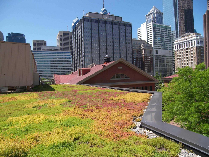 paysagiste-COGOLIN-min_green-roof-portfolio-4